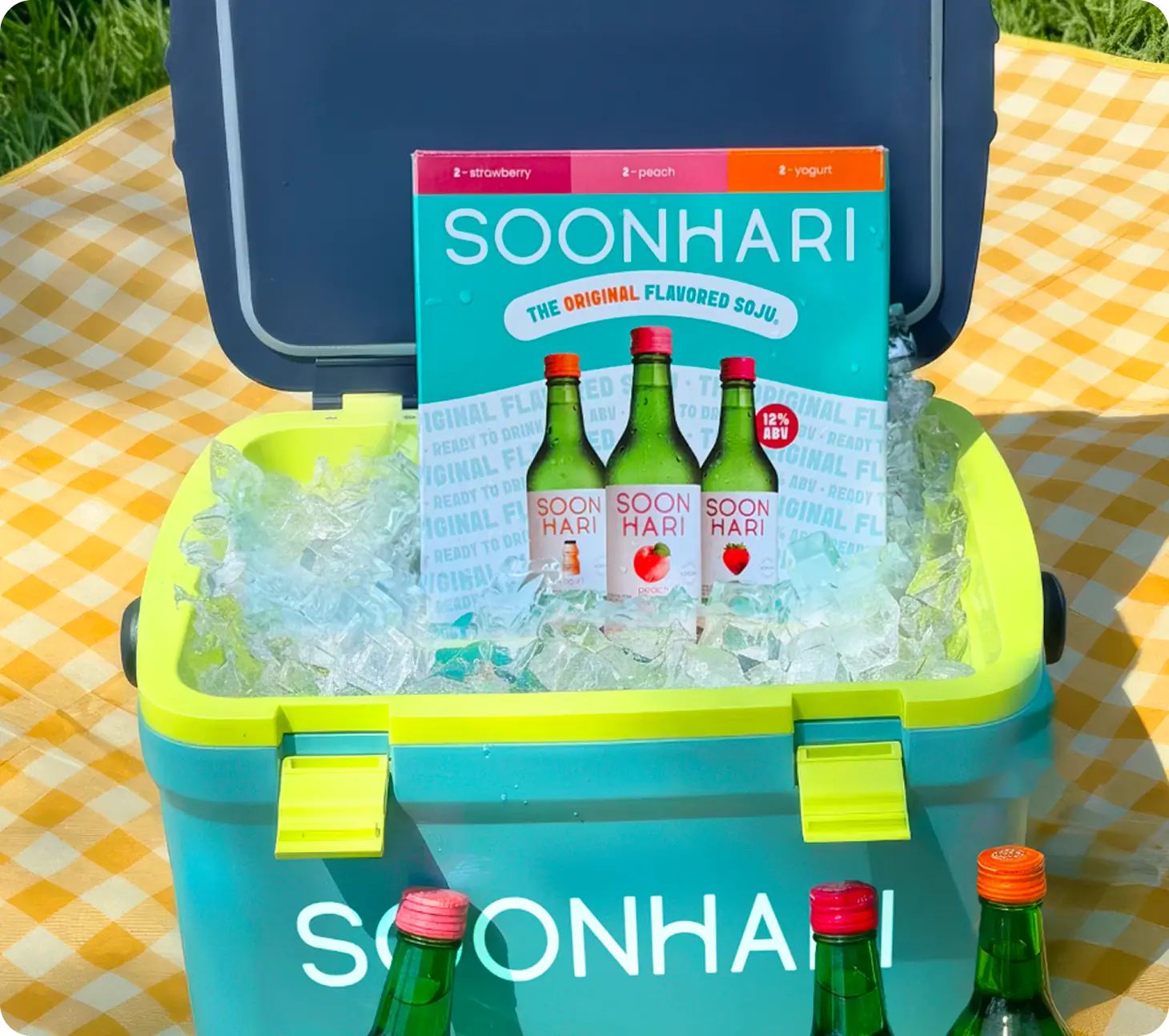Soonhari variety pack in soonhari cooler