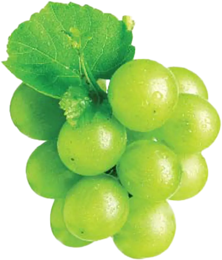 Grape