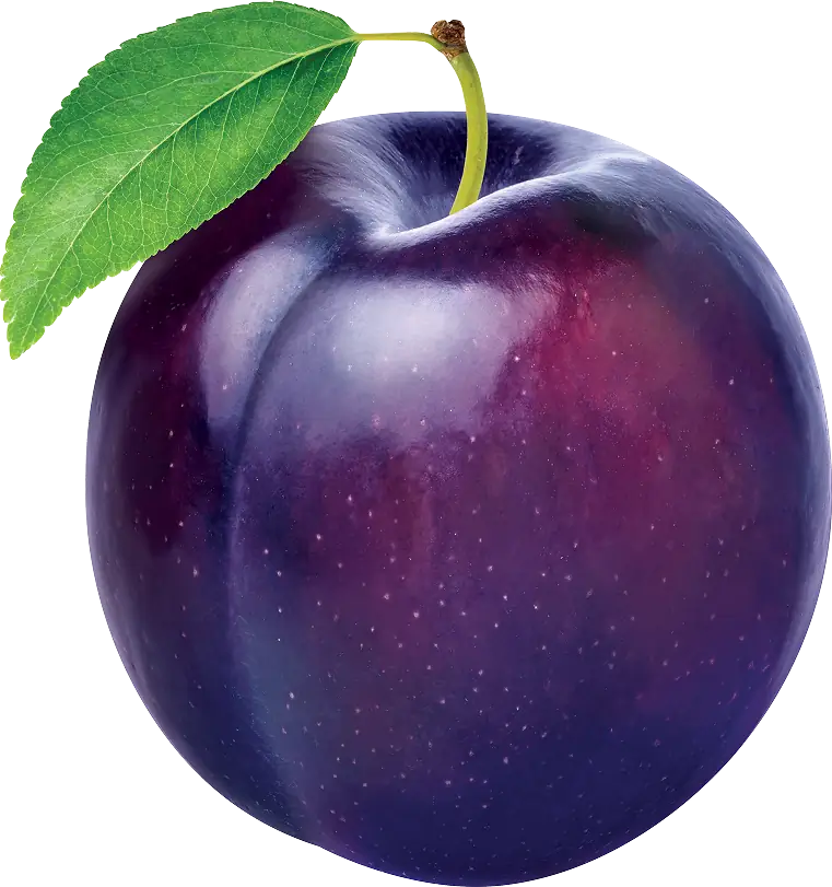 Plum